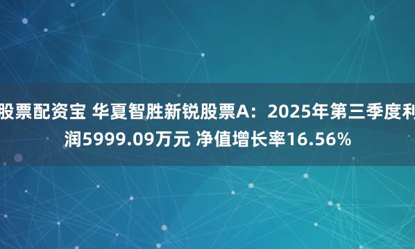 股票配资宝 华夏智胜新锐股票A：2025年第三季度利润5999.09万元 净值增长率16.56%