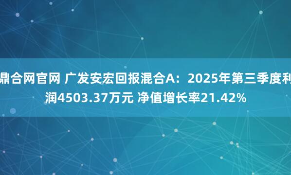 鼎合网官网 广发安宏回报混合A：2025年第三季度利润4503.37万元 净值增长率21.42%