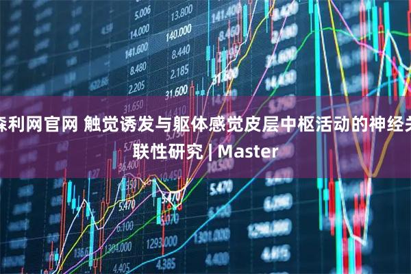 森利网官网 触觉诱发与躯体感觉皮层中枢活动的神经关联性研究 | Master