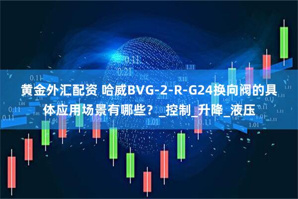 黄金外汇配资 哈威BVG-2-R-G24换向阀的具体应用场景有哪些？_控制_升降_液压