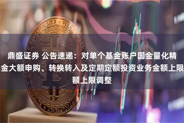 鼎盛证券 公告速递：对单个基金账户国金量化精选基金大额申购、转换转入及定期定额投资业务金额上限调整